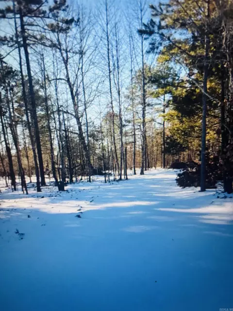 1472 Petters Rd, Mountain View, AR 72560 photo 30