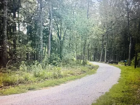 1472 Petters Rd, Mountain View, AR 72560 photo 27