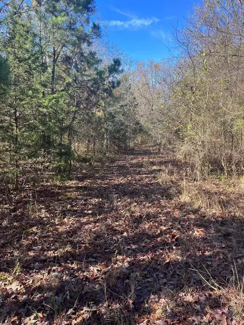 tbd Geyer Dr, Mena, AR 71953