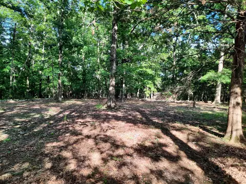Exterior - 400 Wolfking Rd, Mountain View, AR 72560 photo 14 of 24