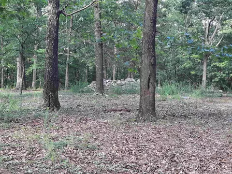 Exterior - 400 Wolfking Rd, Mountain View, AR 72560 photo 10 of 24