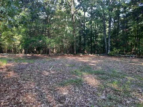 Exterior - 400 Wolfking Rd, Mountain View, AR 72560 photo 20 of 24