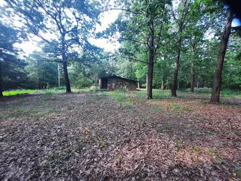 Exterior - 400 Wolfking Rd, Mountain View, AR 72560 photo 12 of 24