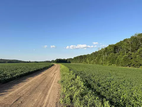 181 Lovers Ln, Bigelow, AR 72016 photo 46