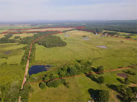 181 Lovers Ln, Bigelow, AR 72016 photo 5
