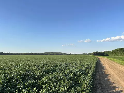 181 Lovers Ln, Bigelow, AR 72016 photo 44