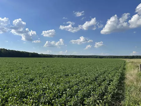181 Lovers Ln, Bigelow, AR 72016 photo 3