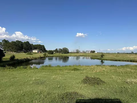 181 Lovers Ln, Bigelow, AR 72016 photo 34