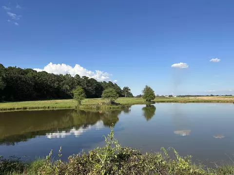 181 Lovers Ln, Bigelow, AR 72016 photo 32