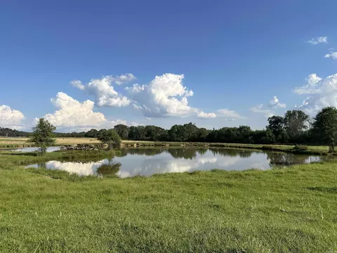 181 Lovers Ln, Bigelow, AR 72016 photo 33