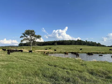 181 Lovers Ln, Bigelow, AR 72016 photo 39