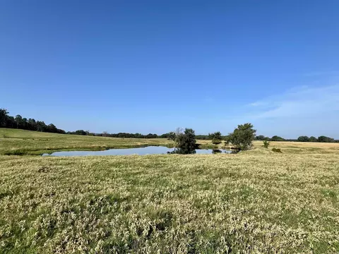 181 Lovers Ln, Bigelow, AR 72016 photo 43
