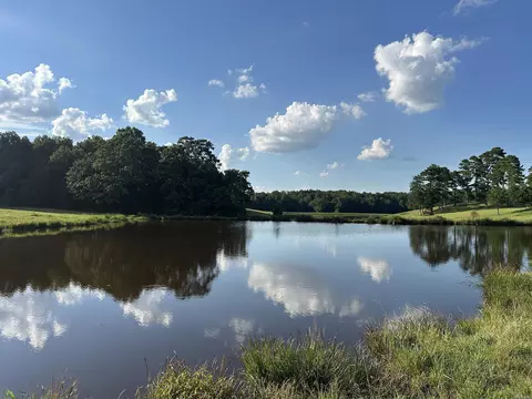 181 Lovers Ln, Bigelow, AR 72016 photo 36