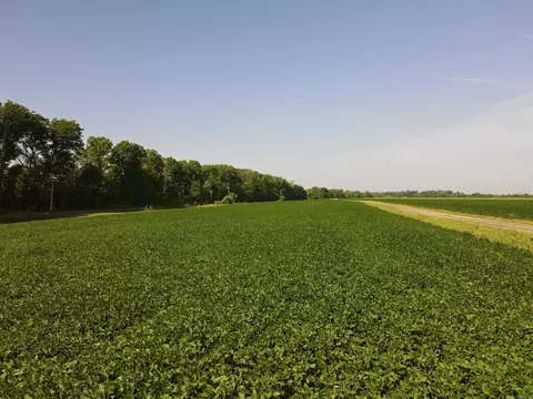 181 Lovers Ln, Bigelow, AR 72016 photo 12
