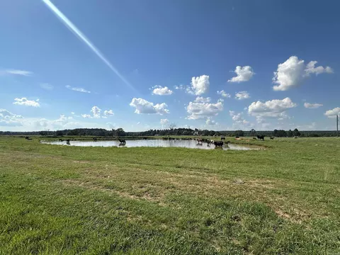 181 Lovers Ln, Bigelow, AR 72016 photo 20