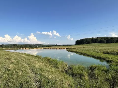 181 Lovers Ln, Bigelow, AR 72016 photo 42