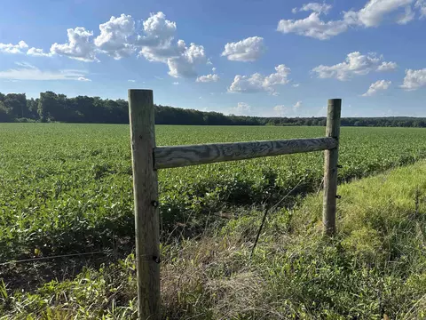 181 Lovers Ln, Bigelow, AR 72016 photo 30