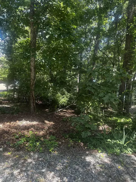 2 Otero Pl, Hot Springs Village, AR 71909