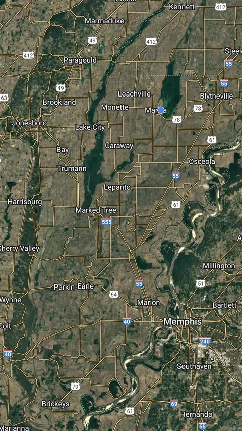 911 E Olympia, Manila, AR 72442 photo 29