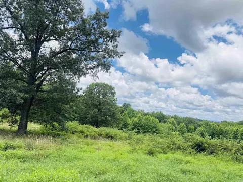 Fisher Road, Melbourne, AR 72556 photo 5