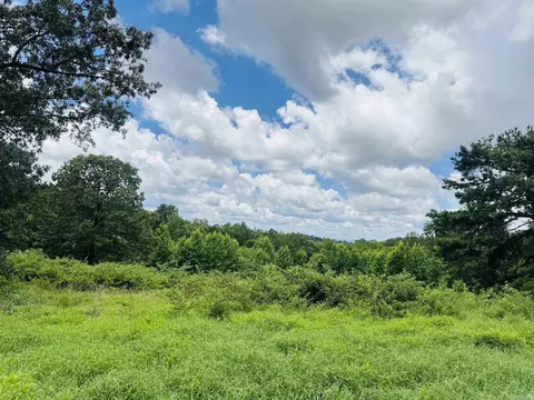 Fisher Road, Melbourne, AR 72556 photo 6
