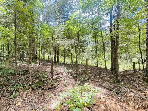 Fisher Road, Melbourne, AR 72556 photo 9