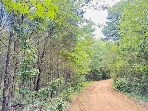 Fisher Road, Melbourne, AR 72556 photo 11
