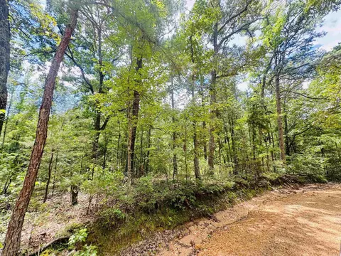 Fisher Road, Melbourne, AR 72556 photo 10