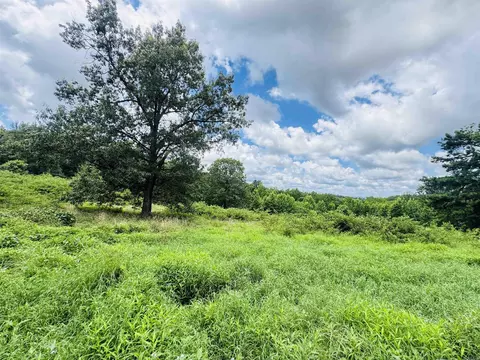 Fisher Road, Melbourne, AR 72556 photo 7