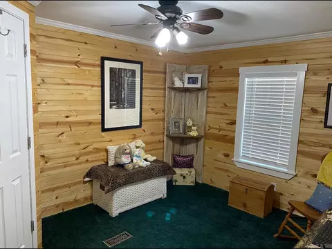 17300 Cabes Point Rd, Alexander, AR 72002 photo 14