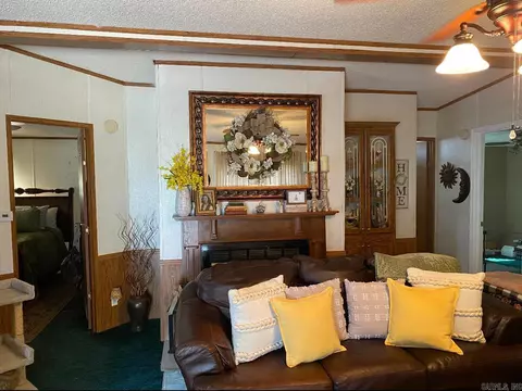 17300 Cabes Point Rd, Alexander, AR 72002 photo 4