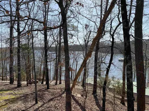 17300 Cabes Point Rd, Alexander, AR 72002 photo 18