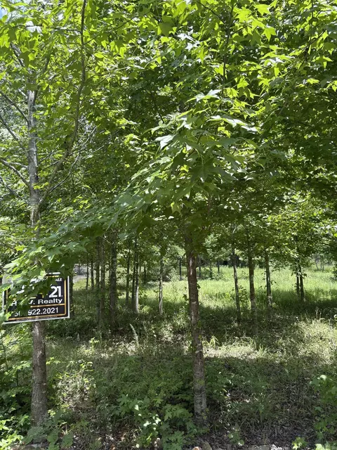 3 Ballobar Cir, Hot Springs Village, AR 71909