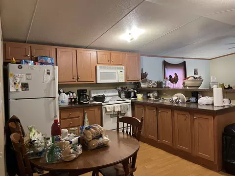 385 Walnut Grove Cir, Mammoth Spring, AR 72554 photo 16