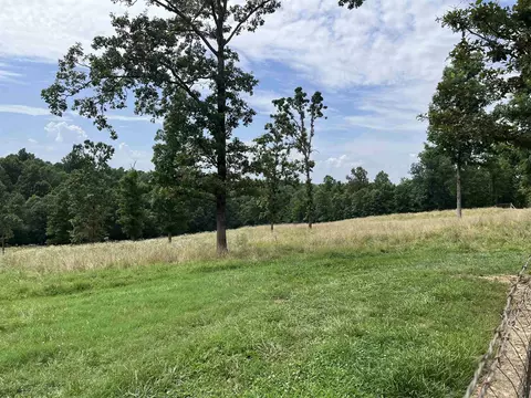 385 Walnut Grove Cir, Mammoth Spring, AR 72554 photo 2