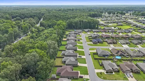 View/Area - 57 Fletcher Dr, Austin, AR 72007 photo 3 of 4