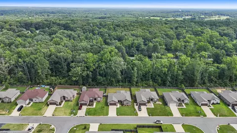 View/Area - 57 Fletcher Dr, Austin, AR 72007 photo 2 of 4