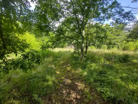 970 Branscum Lp, Timbo, AR 72680 photo 17