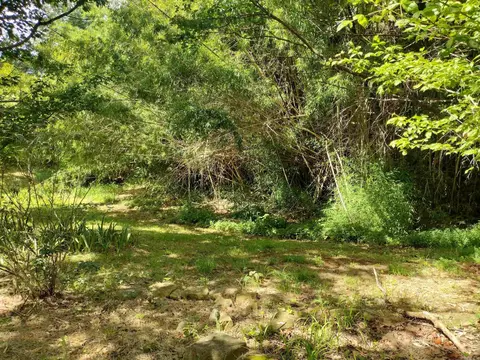 970 Branscum Lp, Timbo, AR 72680 photo 23