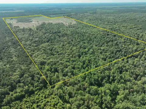294 Dallas Rd, Sparkman, AR 71763