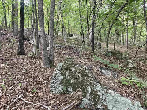 000 Old Brewer Rd N, Edgemont, AR 72044 photo 44