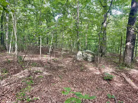 000 Old Brewer Rd N, Edgemont, AR 72044 photo 41