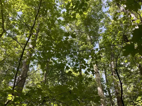 000 Old Brewer Rd N, Edgemont, AR 72044 photo 16