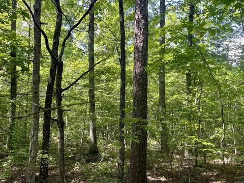 000 Old Brewer Rd N, Edgemont, AR 72044 photo 13