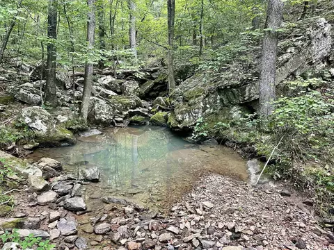 000 Old Brewer Rd N, Edgemont, AR 72044 photo 38