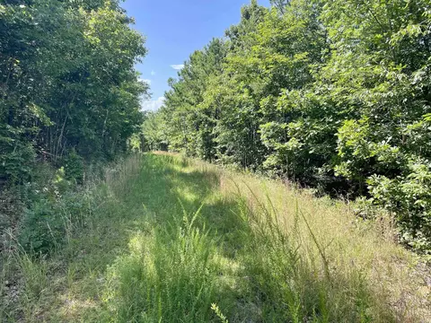 000 Old Brewer Rd N, Edgemont, AR 72044 photo 10