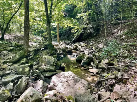 000 Old Brewer Rd N, Edgemont, AR 72044 photo 30