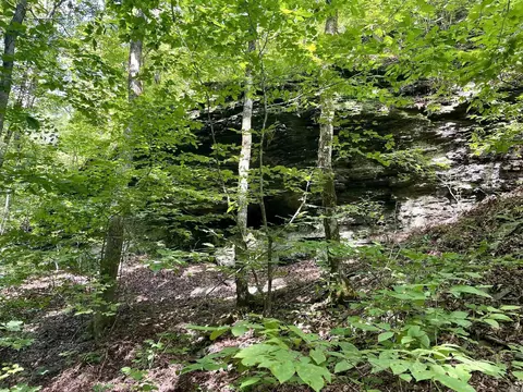 000 Old Brewer Rd N, Edgemont, AR 72044 photo 37