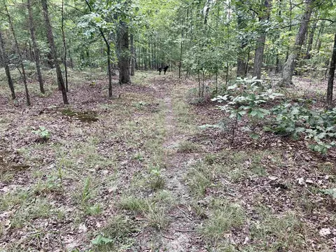 000 Old Brewer Rd N, Edgemont, AR 72044 photo 45