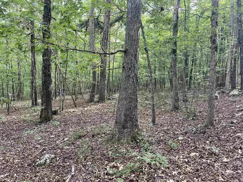 000 Old Brewer Rd N, Edgemont, AR 72044 photo 43